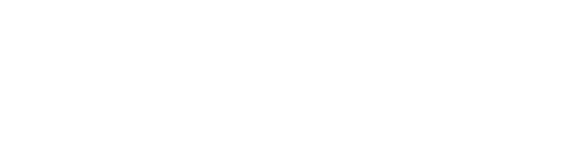 HHM LOGO_White HealthHarmonie Minds
